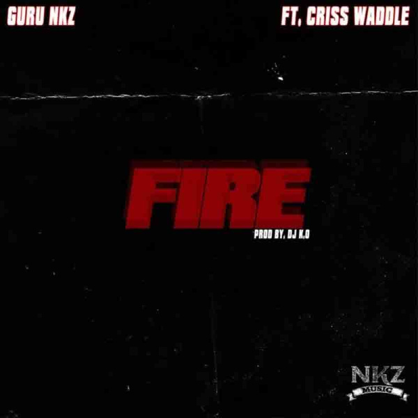 Guru-Fire cover art