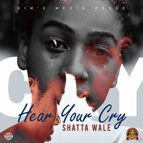 Shatta Wale-Hear Your Cry cover art