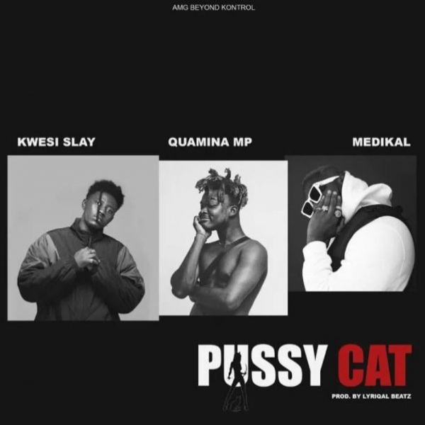 Kwesi Slay-Pussy Cat cover art