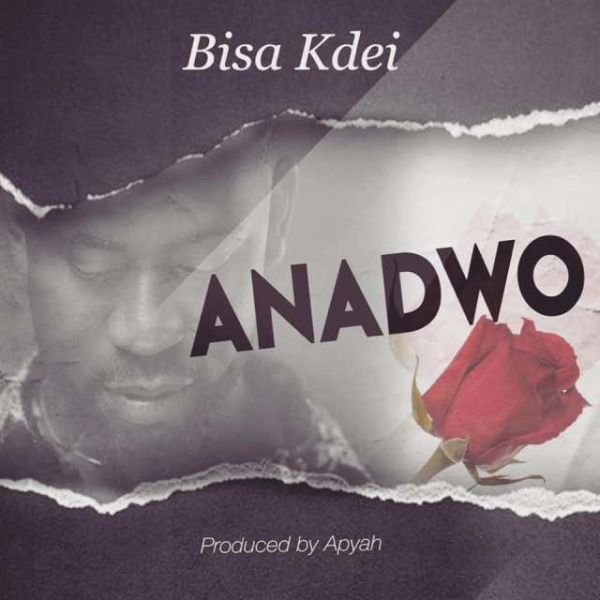 Bisa Kdei-Anadwo cover art