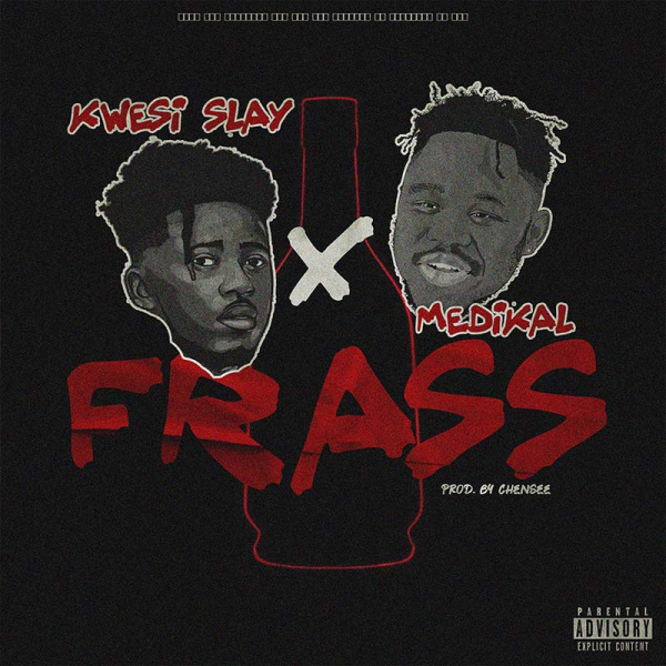 Kwesi Slay-Frass cover art