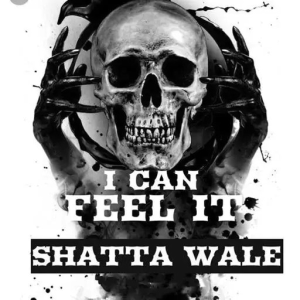 Shatta Wale-I Can Feel It cover art