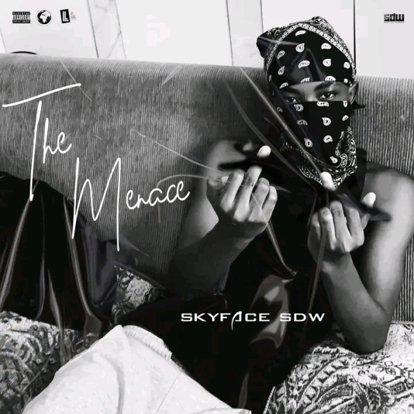 Skyface SDW-No Peace cover art