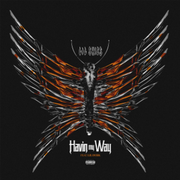 Lil Skies-Havin My Way cover art