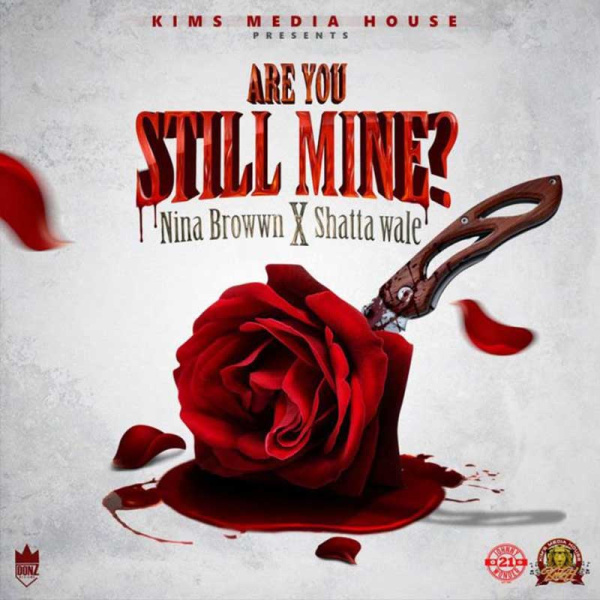 Nina Brown , Shatta Wale-Are You Still Mine? cover art