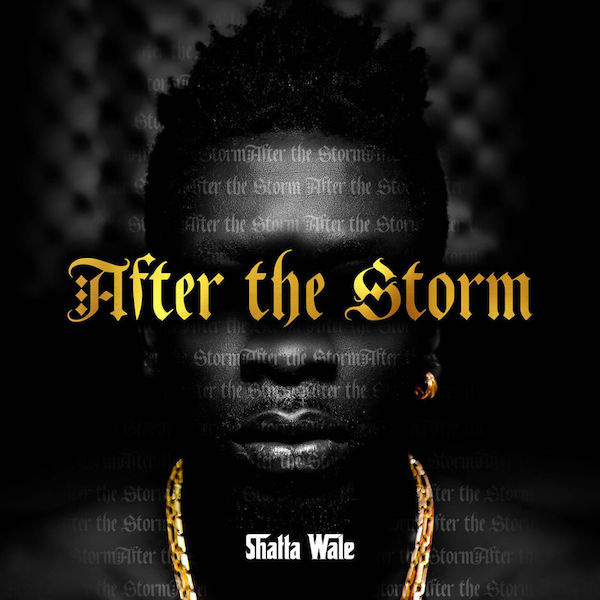 Shatta Wale-Reality cover art