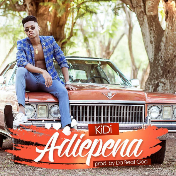 KiDi-Adiepena cover art