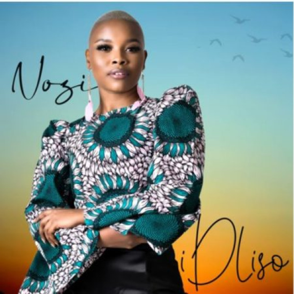 Nizo- Idliso cover art