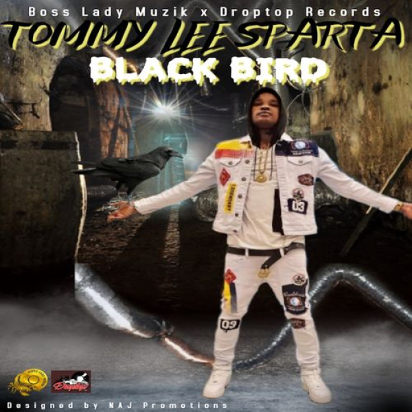 Tommy Lee Sparta-Black Bird cover art