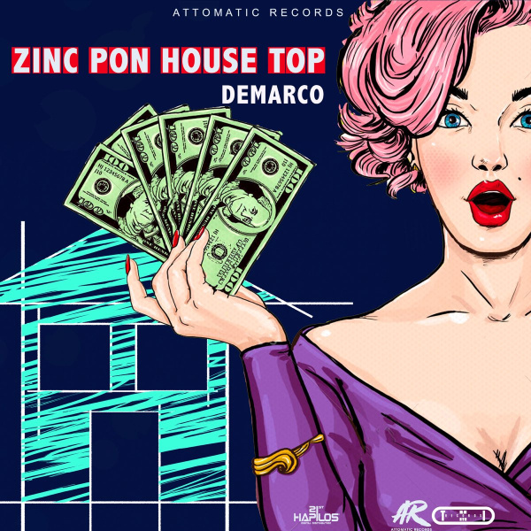 Dermaco-Zinc Pon House Top cover art