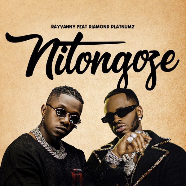 Rayvanny-Nitongoze cover art