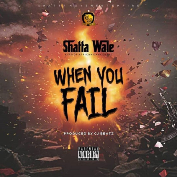 Shatta Wale-When You Fail cover art