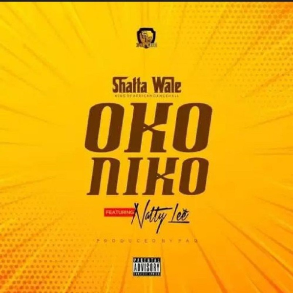 Shatta Wale-Oko Niko cover art