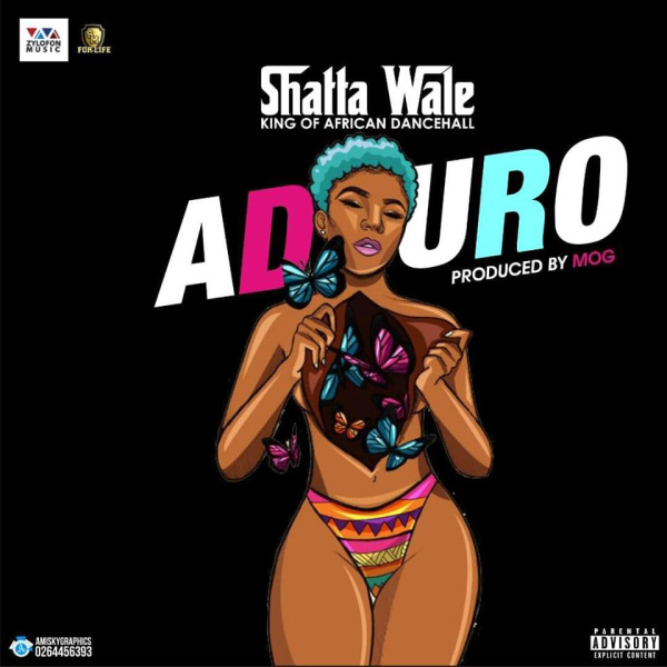 Shatta Wale-Aduro cover art