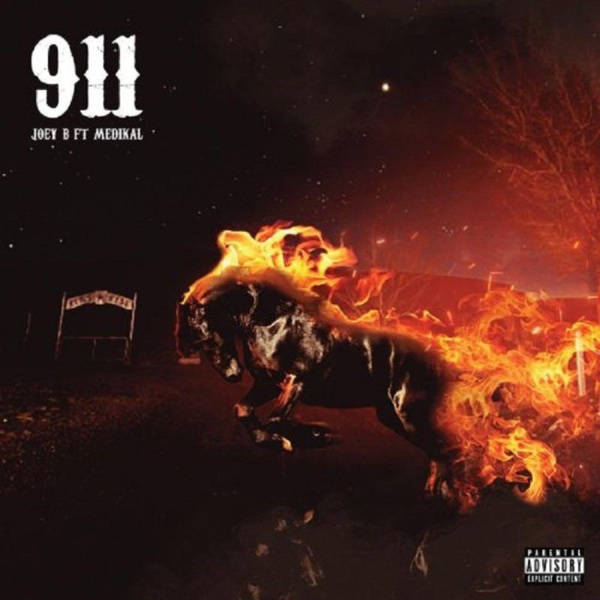 Joey B-911 cover art