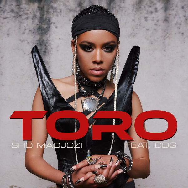 Sho Madjozi-Toro cover art