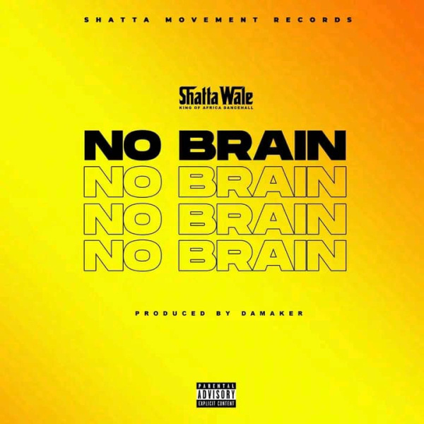 Shatta Wale-No Brain cover art