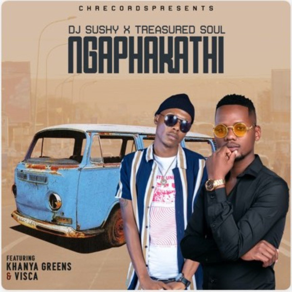 DJ Sushy , Treasured Soul -Ngaphakathi cover art