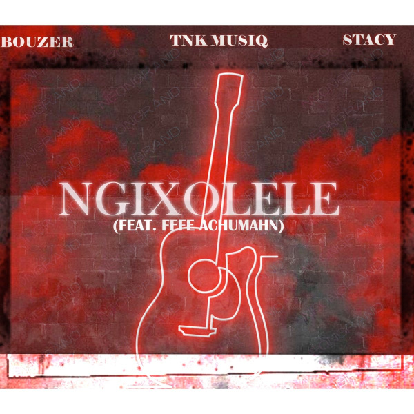 Bouzer, Stacy , TNK MusiQ -Ngixolele cover art