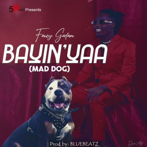 Fancy Gadam-Bayinyaa (Mad Dog) cover art