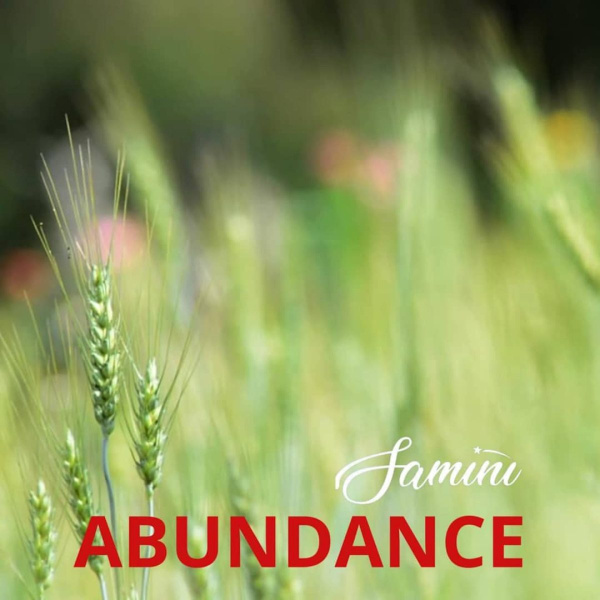 Samini-Abundance cover art