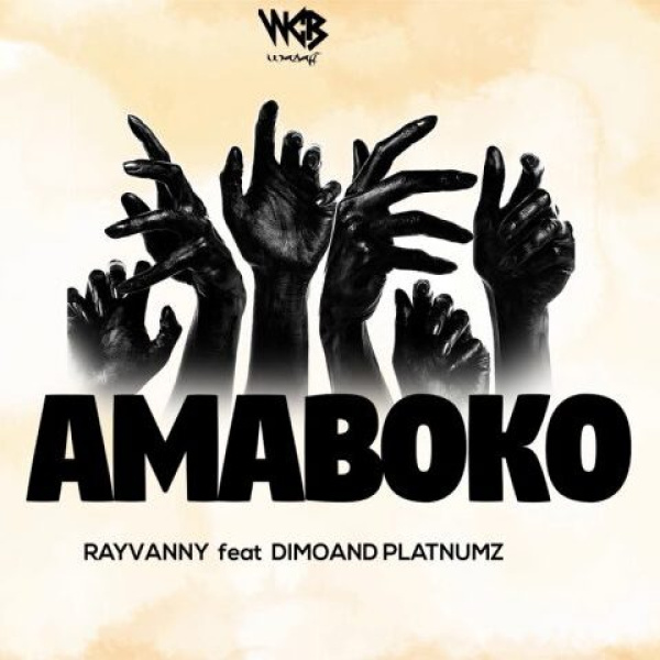 Rayvanny-Amaboko cover art