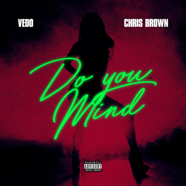 Vedo-Do You Mind cover art