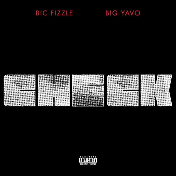 BiC Fizzle-Check cover art