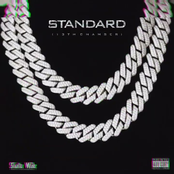 Shatta Wale-Standard (13th Chamber) cover art