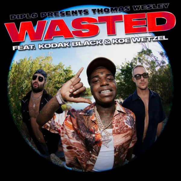 Diplo-Wasted cover art