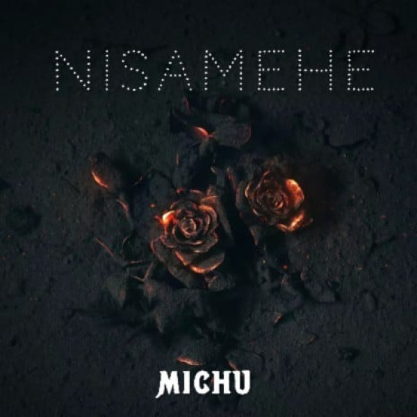 Michu-Nisamehe cover art