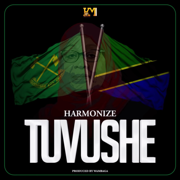 Harmonize -Tuvushe cover art