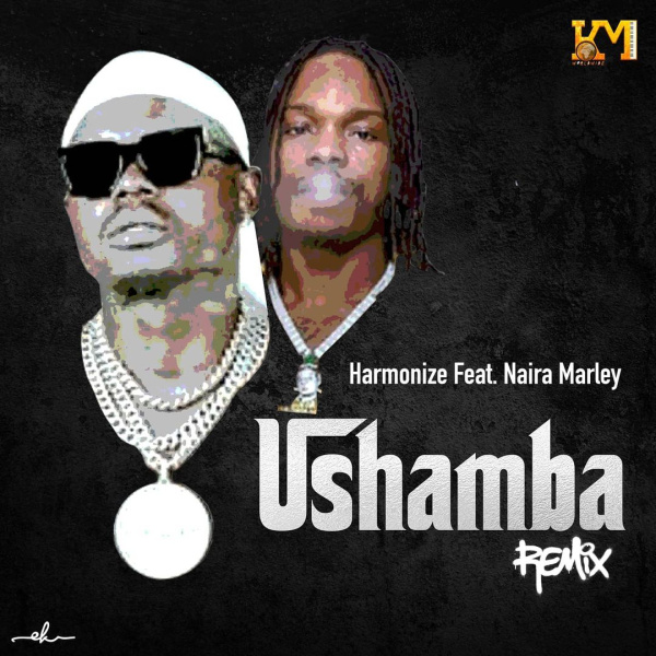 Harmonize-Ushamba (Remix) cover art