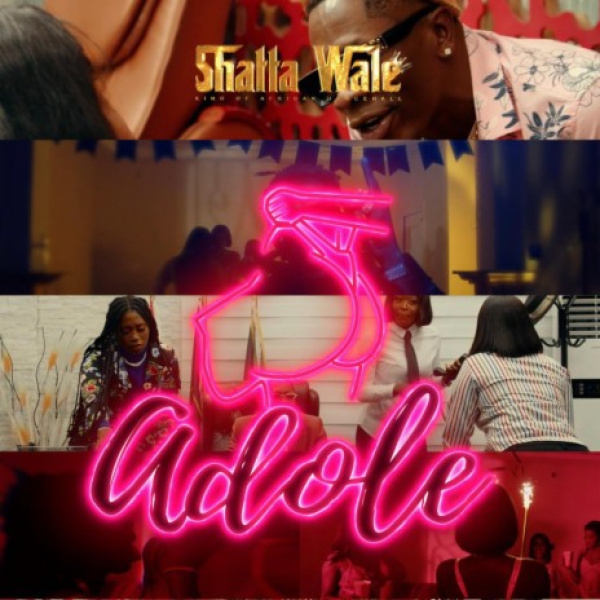 Shatta Wale-Adole cover art