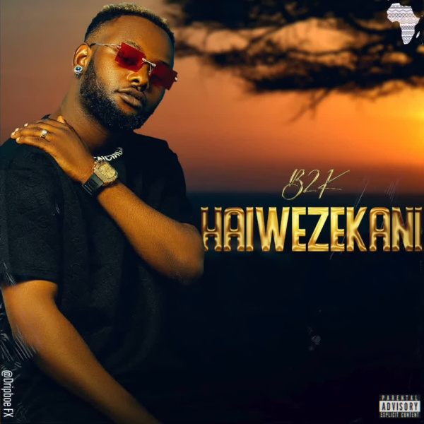 B2k-Haiwezekani cover art