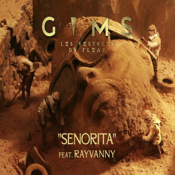 Rayvanny-Senorita cover art