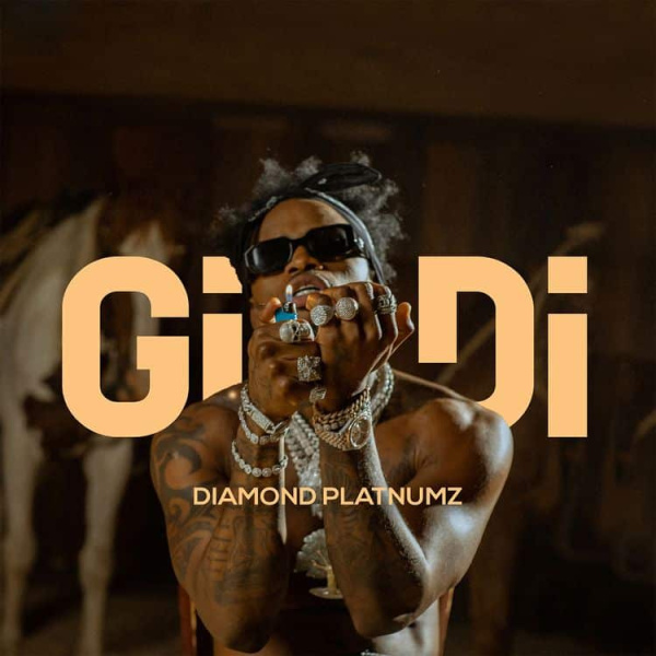 Diamond Platnumz-Gidi cover art