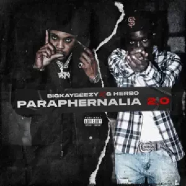 BigKayBeezy-Paraphernalia 2.0 cover art