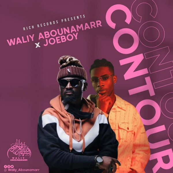 Waliy AbouNamarr-Contour cover art