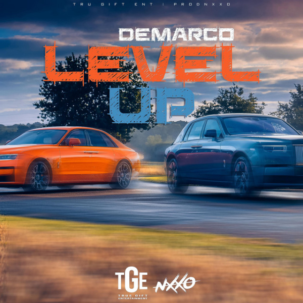 Dermaco-Level Up cover art