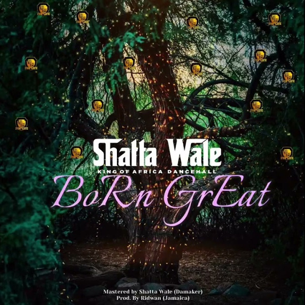 Shatta Wale-Born Great cover art