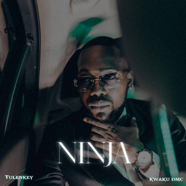 Tulenkey-Ninja cover art