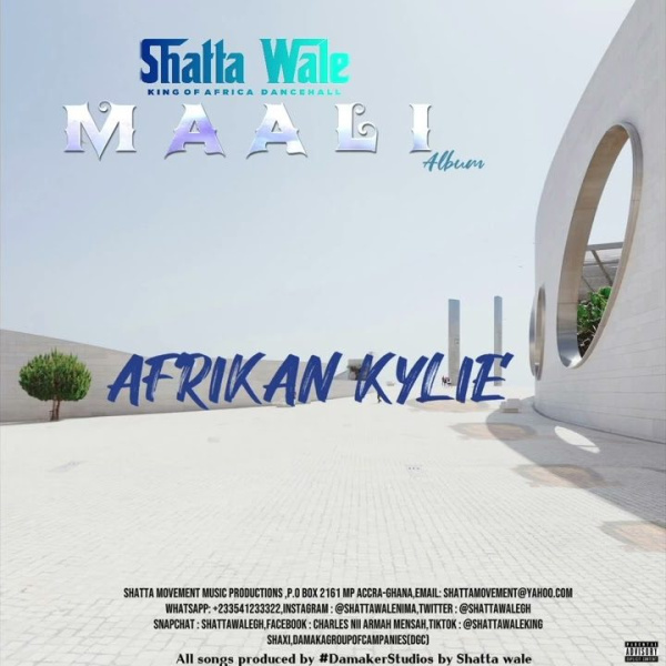 Shatta Wale-Afrikan Kylie cover art