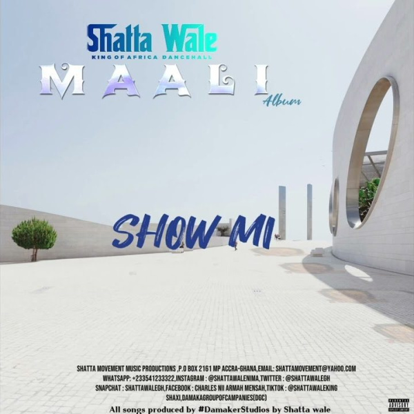 Shatta Wale-Show Mi cover art