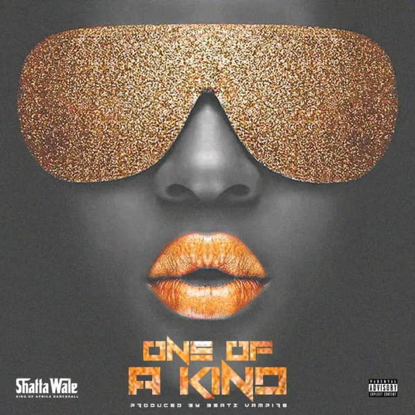 Shatta Wale-One Of A kind cover art