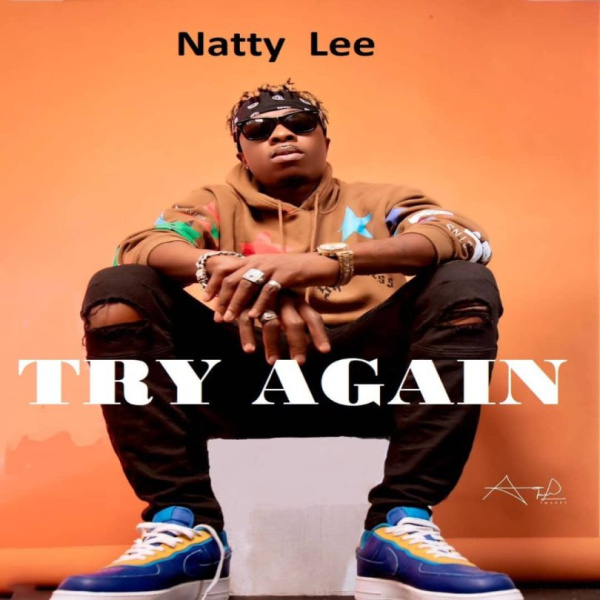 Natty Lee-Try Again cover art