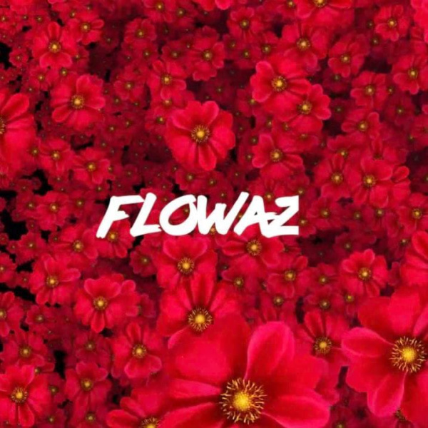 Skillibeng-Flowaz cover art