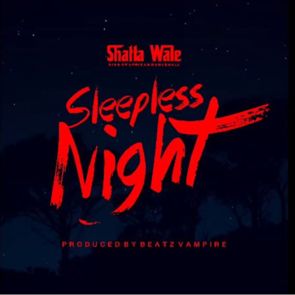 Shatta Wale-Sleepless Night cover art