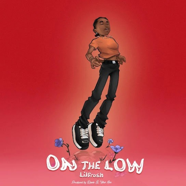 Lil Frosh-On The Low cover art