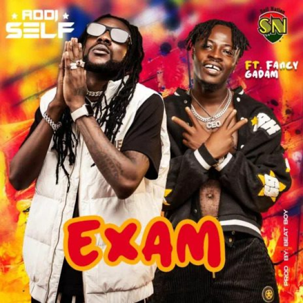 Addi Self-Exam cover art